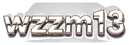wzzm13 logo